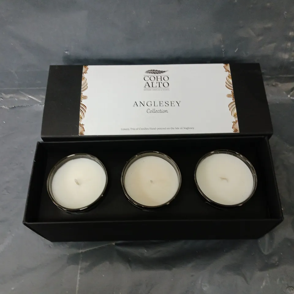 COHO ALTO ANGLESSEY 3 CANDLE COLLECTION 