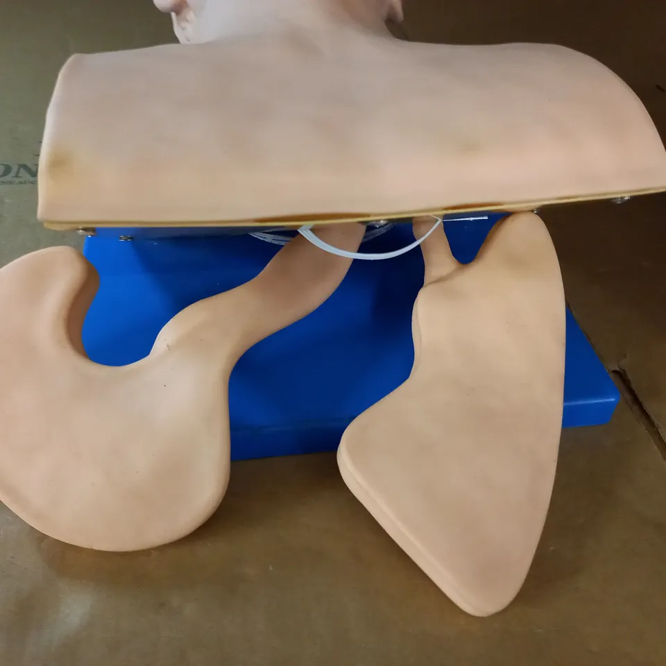 CPR TRAINING DUMMY