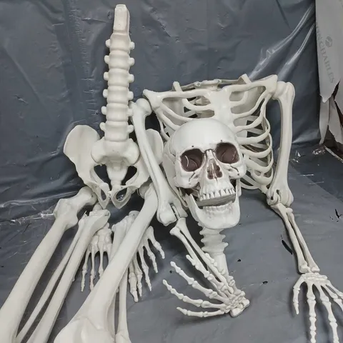 PLASTIC SKELETON DECORATION IN WHITE - COLLECTION ONLY