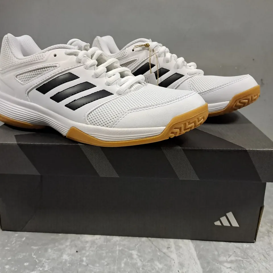 BOXED PAIR OF ADIDAS SPEEDCOURT WOMEN'S SHOES IN WHITE/BLACK UK SIZE 5