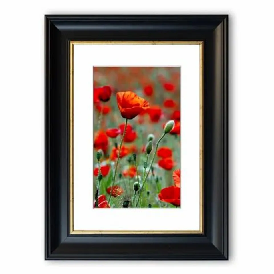 POPPY FIELD GALORE PICTURE PICTURE FRAME PHOTO