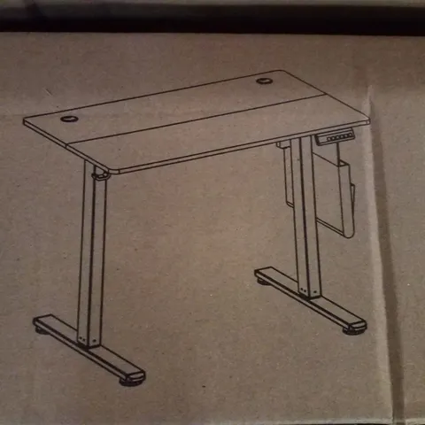 BOXED VASAGLE STANDING DESK
