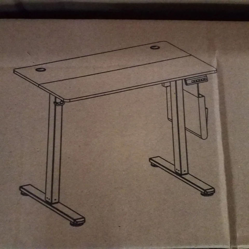 BOXED VASAGLE STANDING DESK