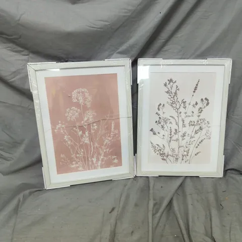 BOTANICAL SET OF 2 FRAMED PRINTS 30X40CM