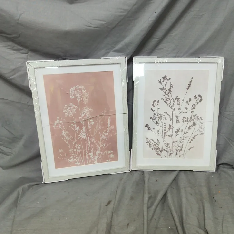 BOTANICAL SET OF 2 FRAMED PRINTS 30X40CM 