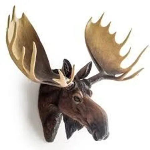 BRAND NEW BOXED HOMESDIRECT365 LARGE REALISTIC MOOSE WALL HEAD