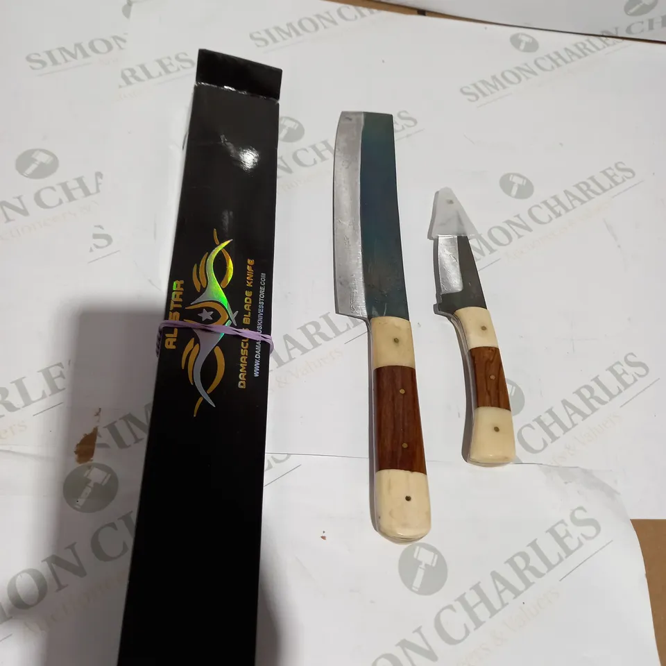 ALL DTSR DAMASCUS BLADE KNIFE 