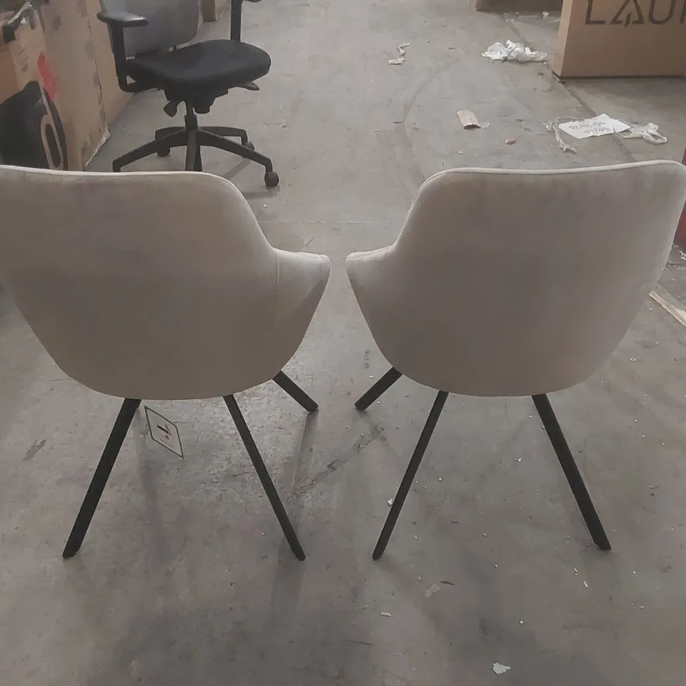 SET OF 2 DANETTI CLEO CHAMPAGNE VELVET SWIVEL CHAIRS