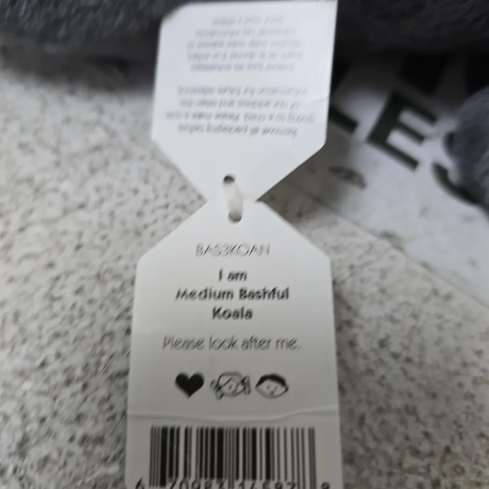 JELLYCAT I AM BASHFUL KOALA