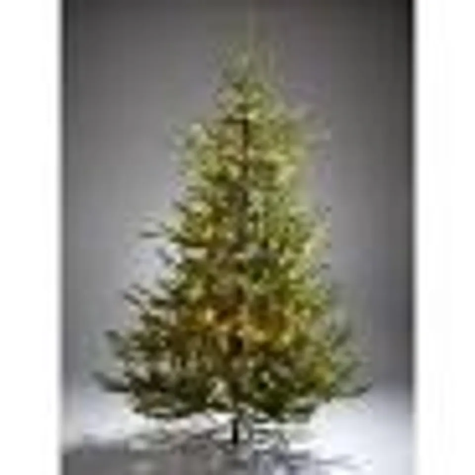 7FT FRASER FIR UPSWEPT PRE-LIT MIXED TIPS CHRISTMAS TREE COLLECTION ONLY RRP £219.99