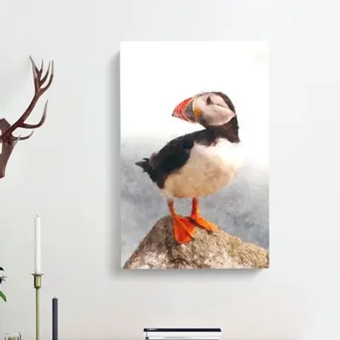 BOXED ATLANTIC PUFFIN - WRAPPED CANVAS PAINTING
