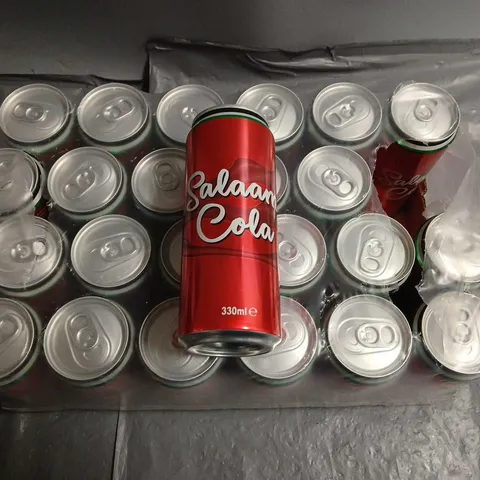 LOT OF 24 330ML CANS OF SALAAM COLA