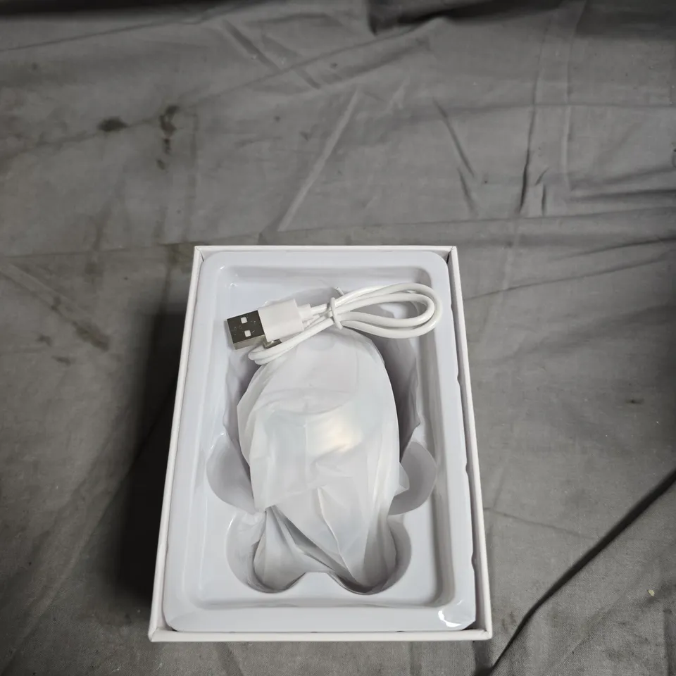 DOUBLE ROLLER BEAUTY INSTRUMENT – BOXED (MGE-020)