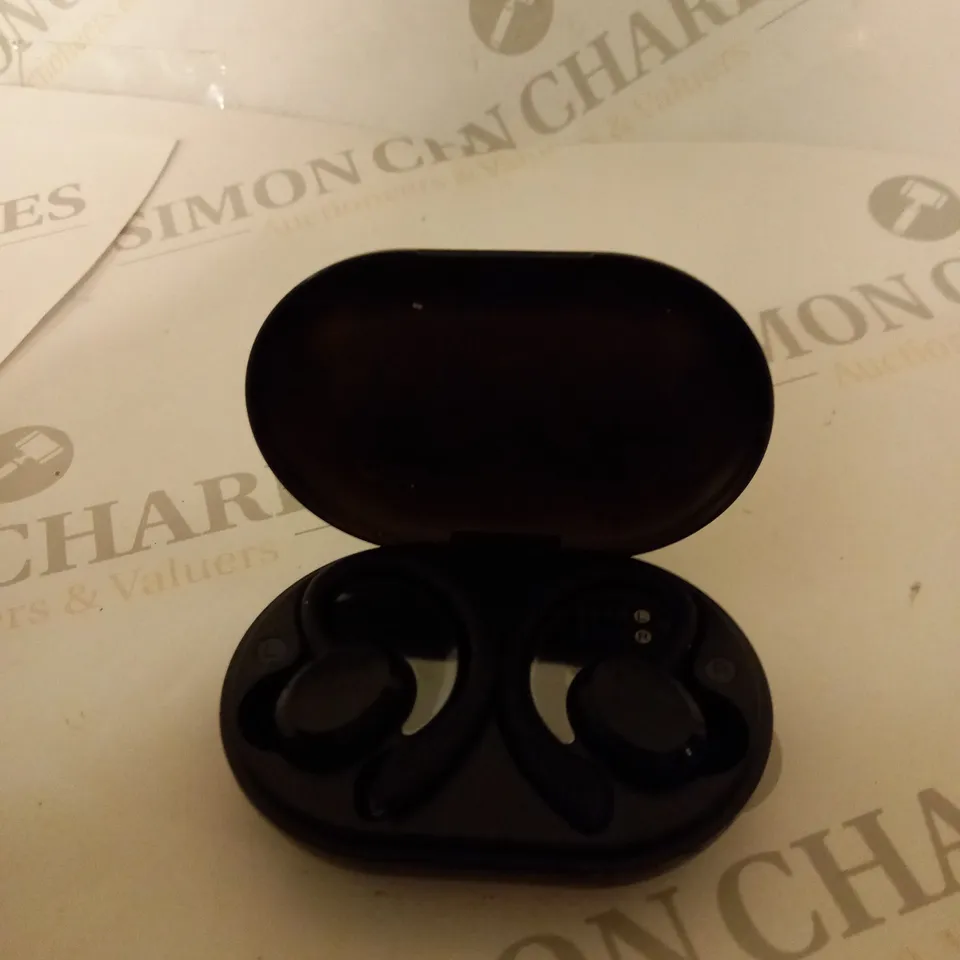 RULEFISS TRUE WIRELESS EARBUDS 