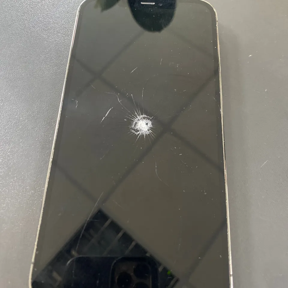 APPLE IPHONE 12 PRO MAX