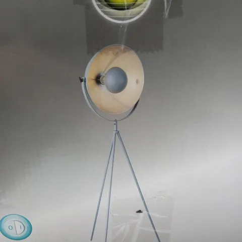 BOXED GLOBO FLOOR LIGHT METAL IN GREY