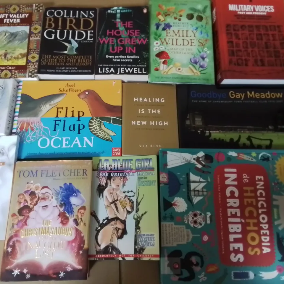 LARGE QUANTITY OF ASSORTED BOOKS TO INCLUDE A HAUNTING HILL, KOREAN STORIES, WOMEN HOLDING THINGS AND THIEVES GAMBIT
