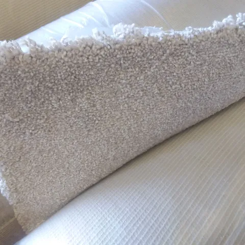 ROLL OF QUALITY EC FREEDOM XTRA ASTWOOD CARPET 4Γ4.8M