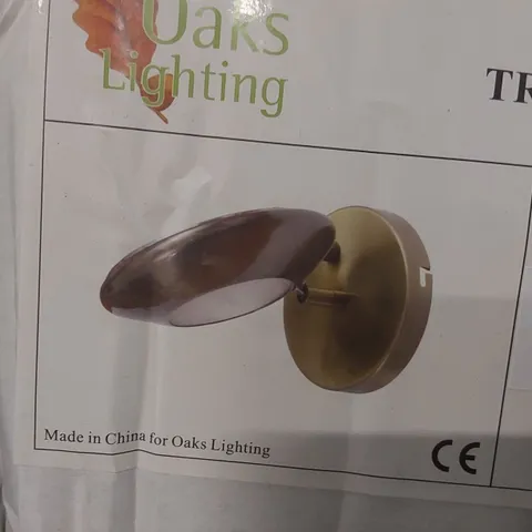 BOXED SEVERN SPOTLIGHT