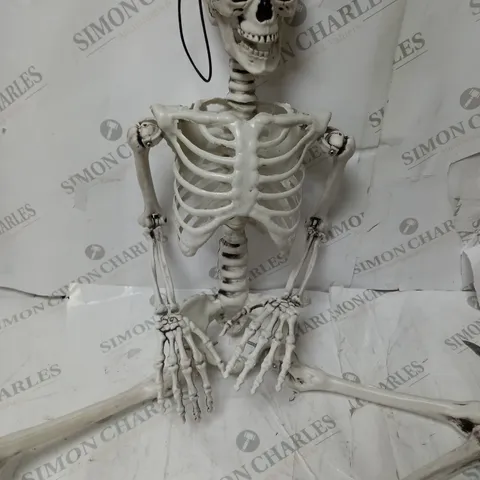 BOXED SKELETON HALLOWEEN DECORATION 