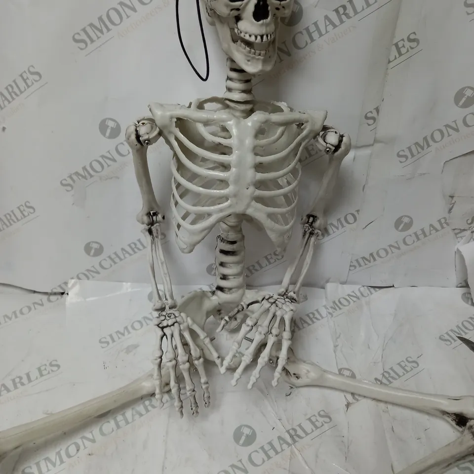 BOXED SKELETON HALLOWEEN DECORATION 
