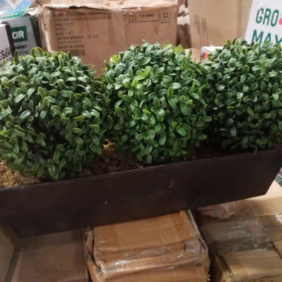 BOXED TRIPLE BOXWOOD TOPIARY BALLS IN SLANTED TIN PLANTER 