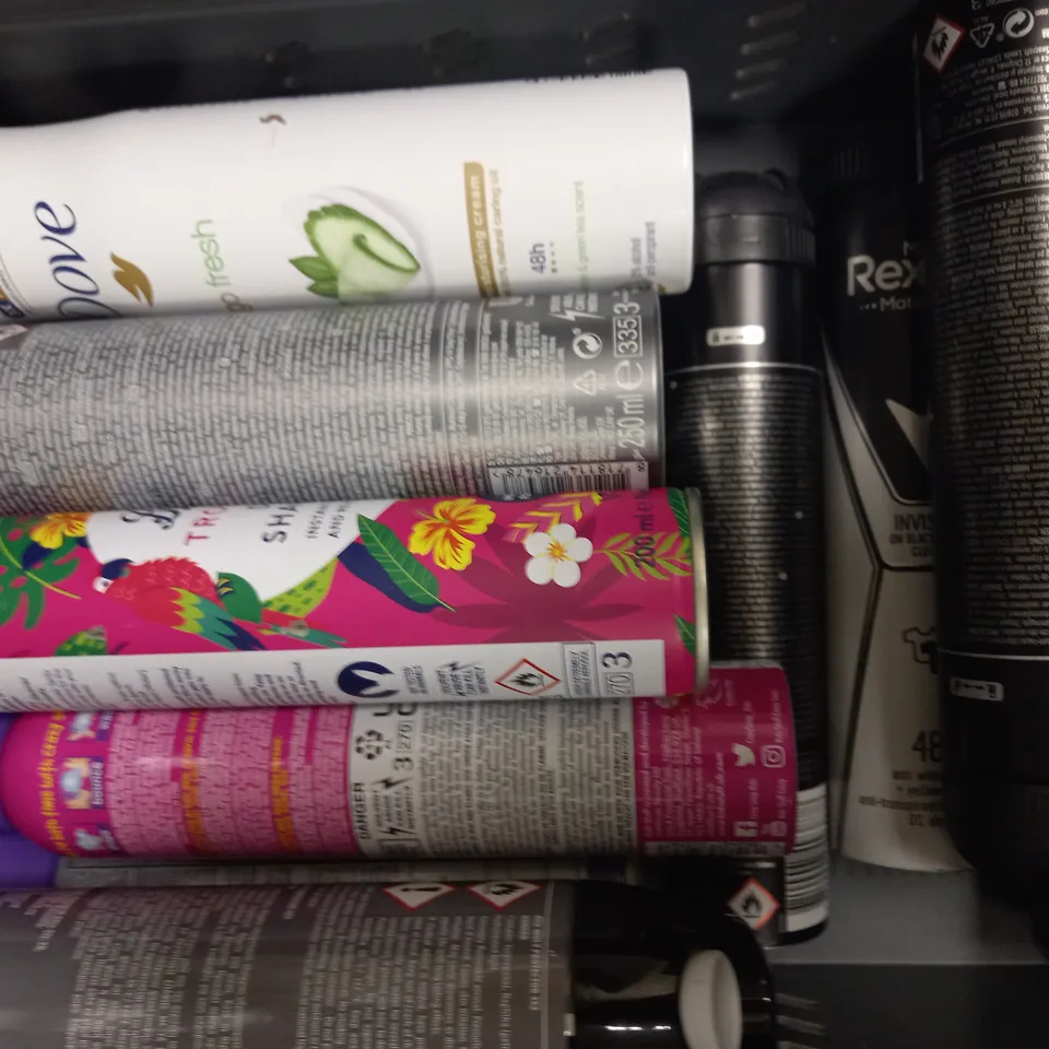 LOT OF APPROXIMATELY 20 ASSORTED AEROSOLS, TO INCLUDE DEODORANT, WOOD SILK, ACF-50, ETC - COLLECTION ONLY