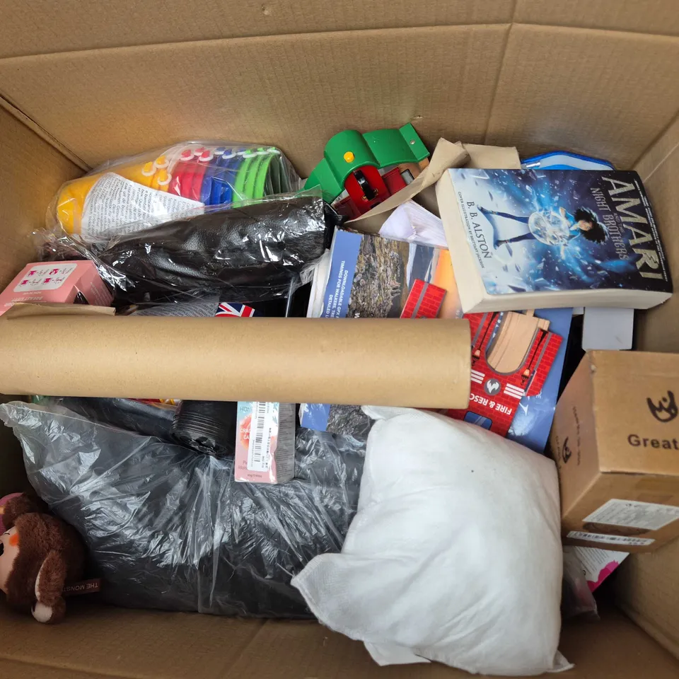 APPROXIMATELY 20 ASSORTED HOUSEHOLD PRODUCTS TO INCLUDE AMARI AND THE NIGHT BROTHERS BOOK, INTERIOR DEHUMIDIFIER, BEACH BUCKETS, ETC - COLLECTION ONLY