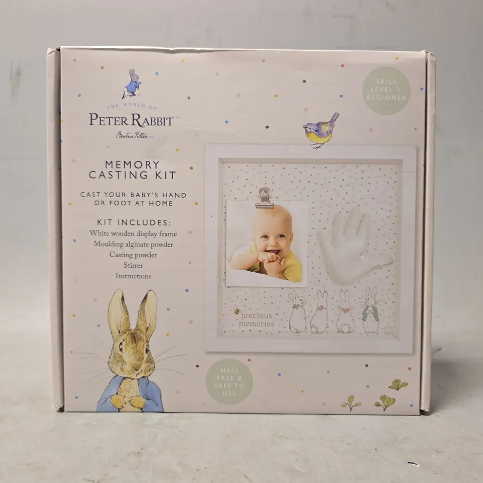 BOXED PETER RABBIT MEMORY CASTING KIT 