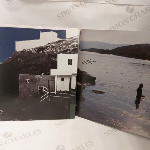 BOX OF 2 GEORGE OGILVIE VINYLS - WHITE OUT AND