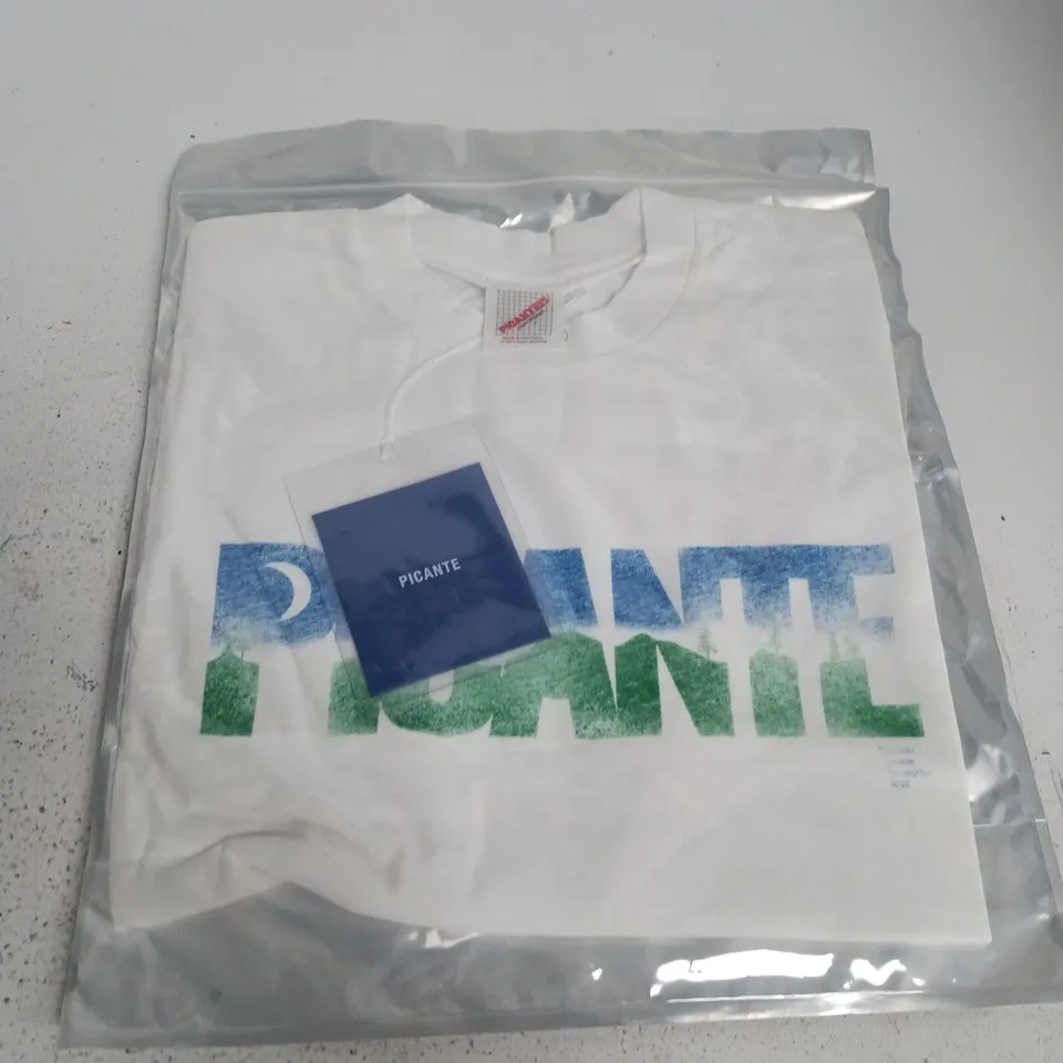 BAGGED PICANTE PEACE T-SHIRT VINTAGE WHITE - LARGE