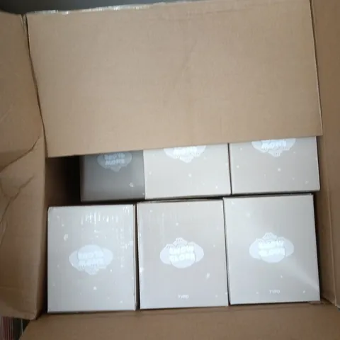 BOX OF APPROXIMATELY 18 DUMPLING SNOW GLOBES