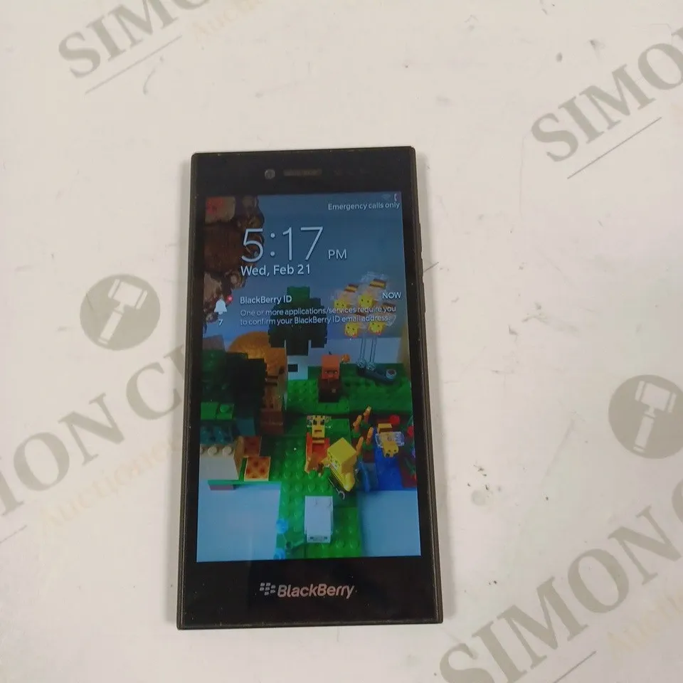 BLACKBERRY - UNKOWN MODEL 
