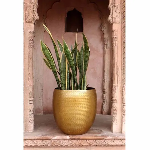 BOXED PERRONE PLANTER (1 BOX)