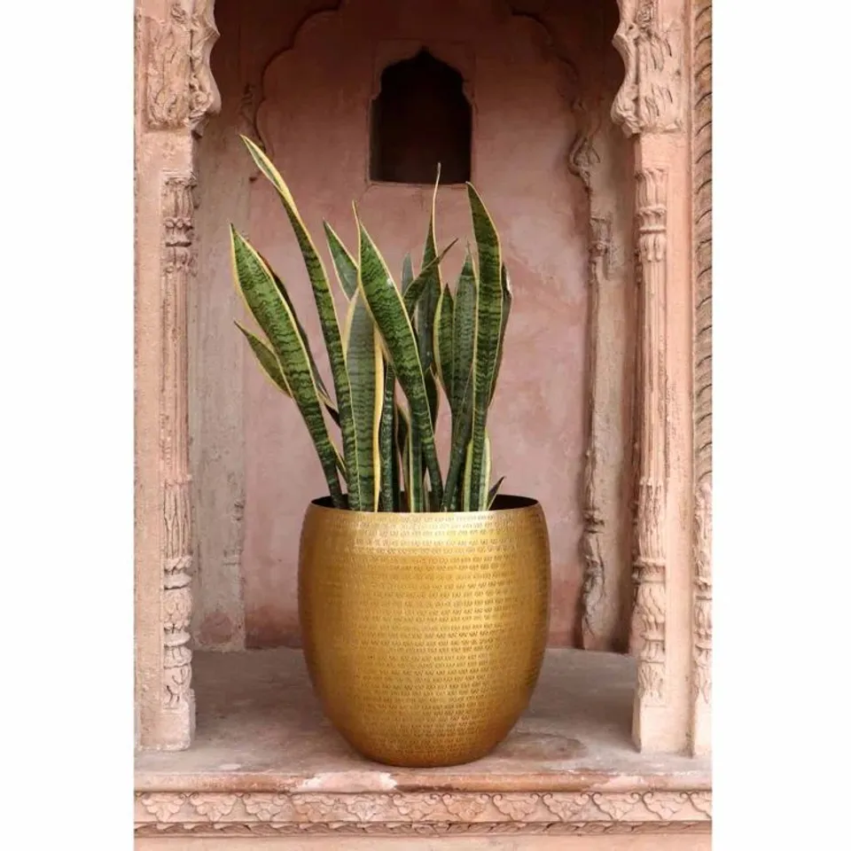 BOXED PERRONE PLANTER  (1 BOX)