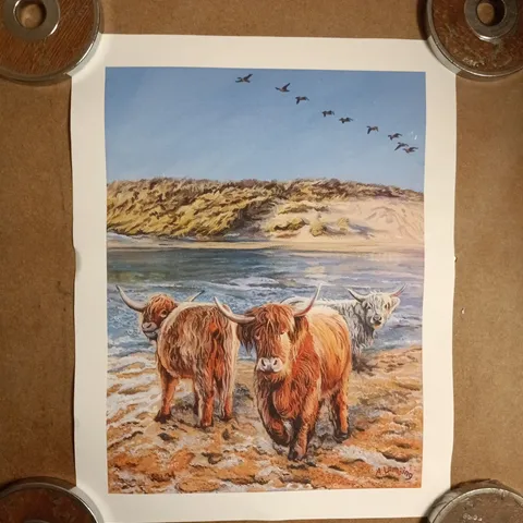 ADRIANA LAMBING "THE DRURIDGE WOOLLY COOS" ART PRINT