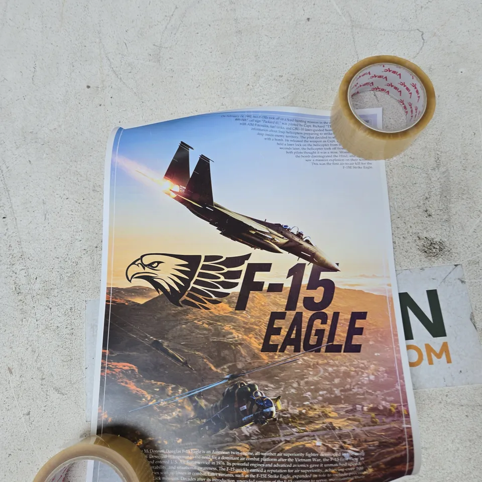 A-10 THUNDERBOLT II AVIATION POSTER (TWO-PAGE SPREAD) FEATURING F-15 EAGLE