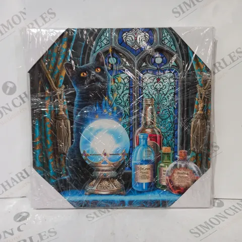 THE WITCHES APPRENTICE LIGHT UP CANVAS PLAQUE