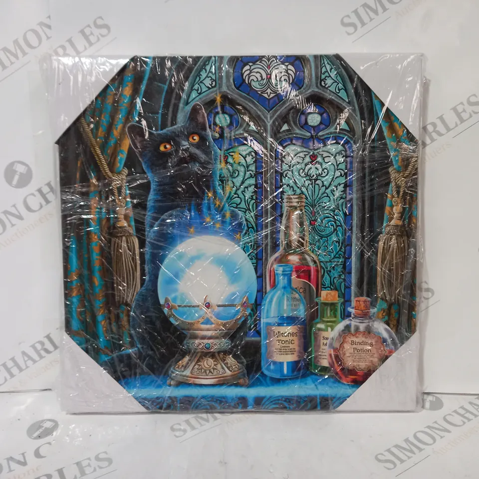 THE WITCHES APPRENTICE LIGHT UP CANVAS PLAQUE