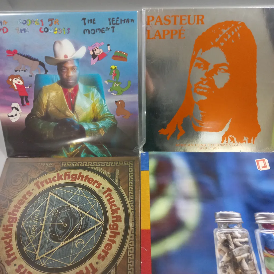 APPROXIMATELY 15 ASSORTED VINYLS TO INCLUDE MESHUGA BABY, STEELY DAN, FOCUS ETC 
