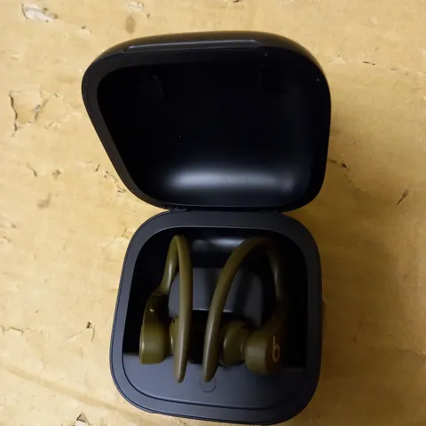 BEATS POWERBEATS PRO MOSS GREEN