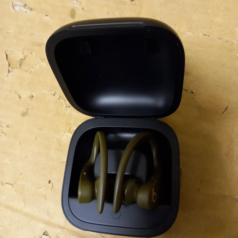 BEATS POWERBEATS PRO MOSS GREEN