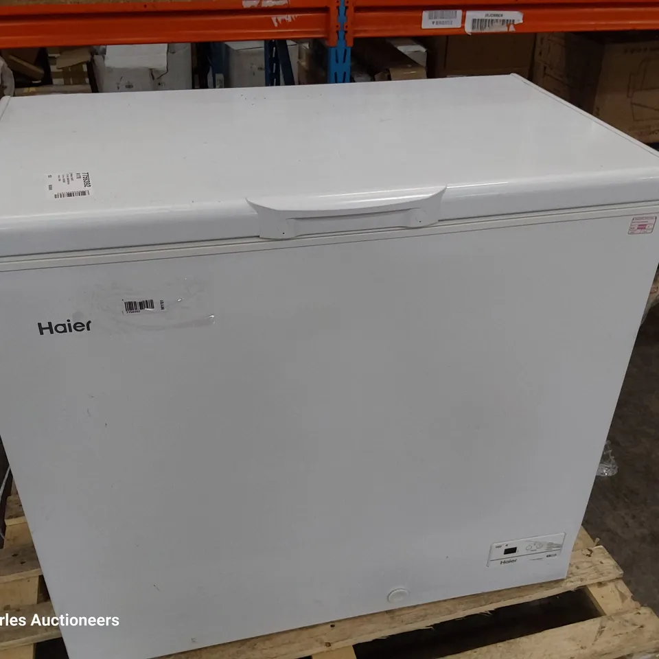 HAIR WHITE CHEST FREEZER