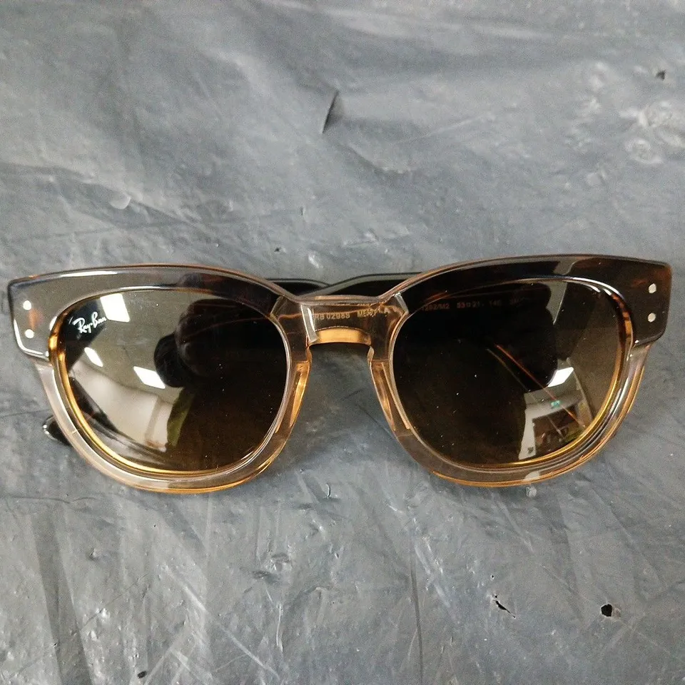 RAYBAN ROUNDED SUNGLASSES IN HAVANA
