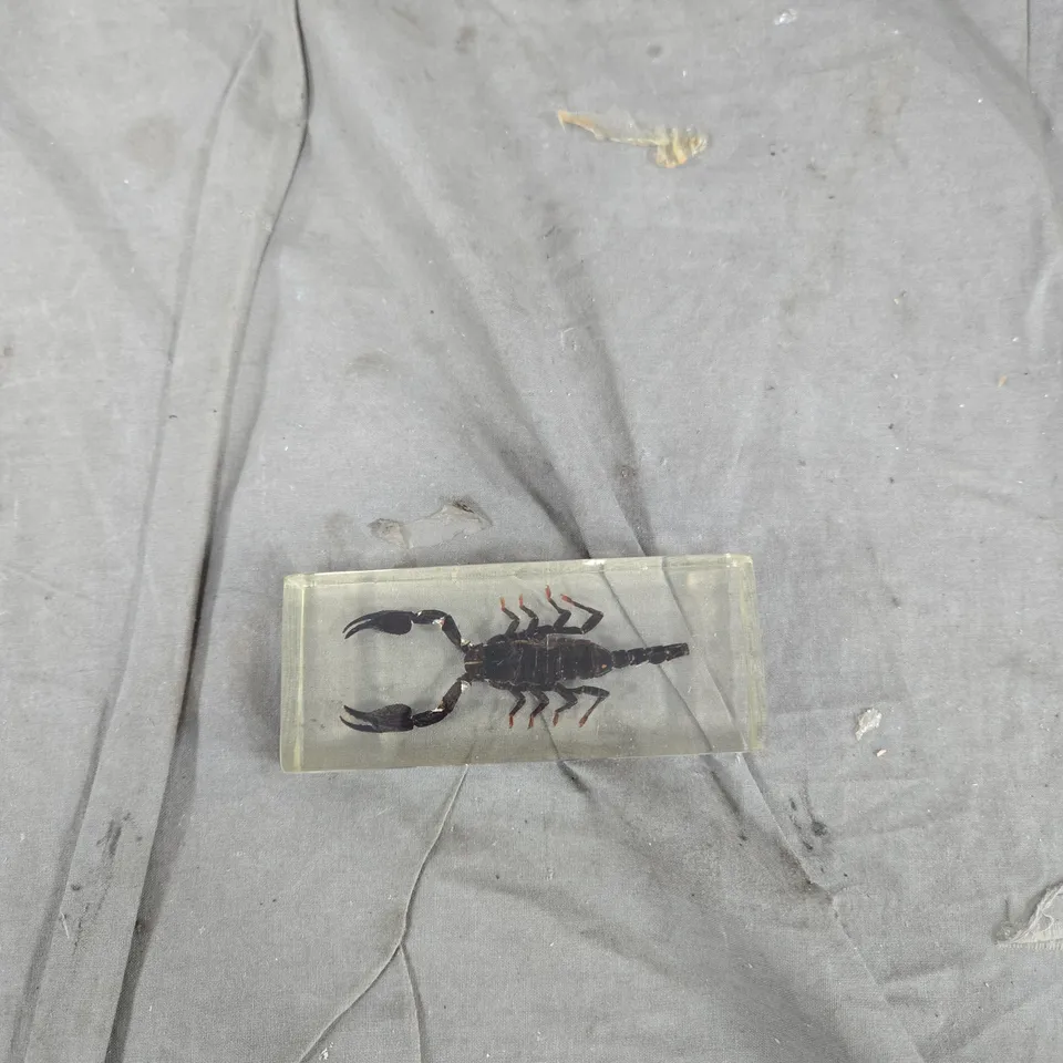 TOTE OF APPROXIMATELY 12 ASSORTED ITEMS TO INCLUDE: POST IT NOTES AND GIANT SCORPION IN RESIN 