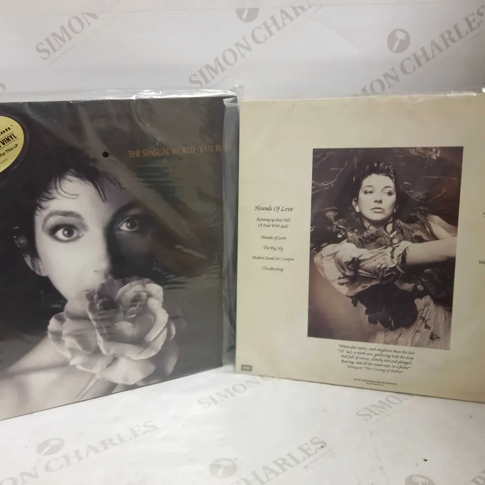 LOT OF 2 KATE BUSH VINYL ALBUMS
