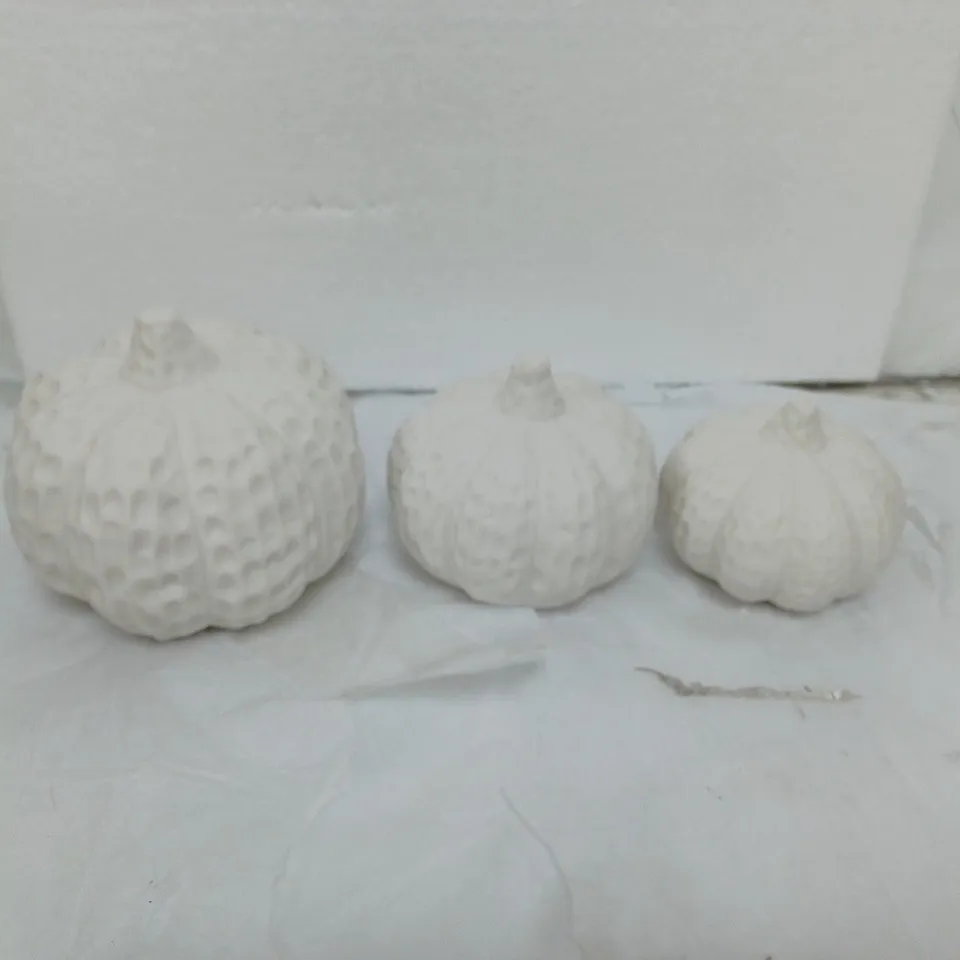 BOXED K BY KELLY HOPPEN SET OF 3 PUMPKIN DECOR