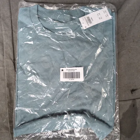 BAGGED HOLLISTER CLASSIC FIT T-SHIRT IN LIGHT BLUE SIZE XL
