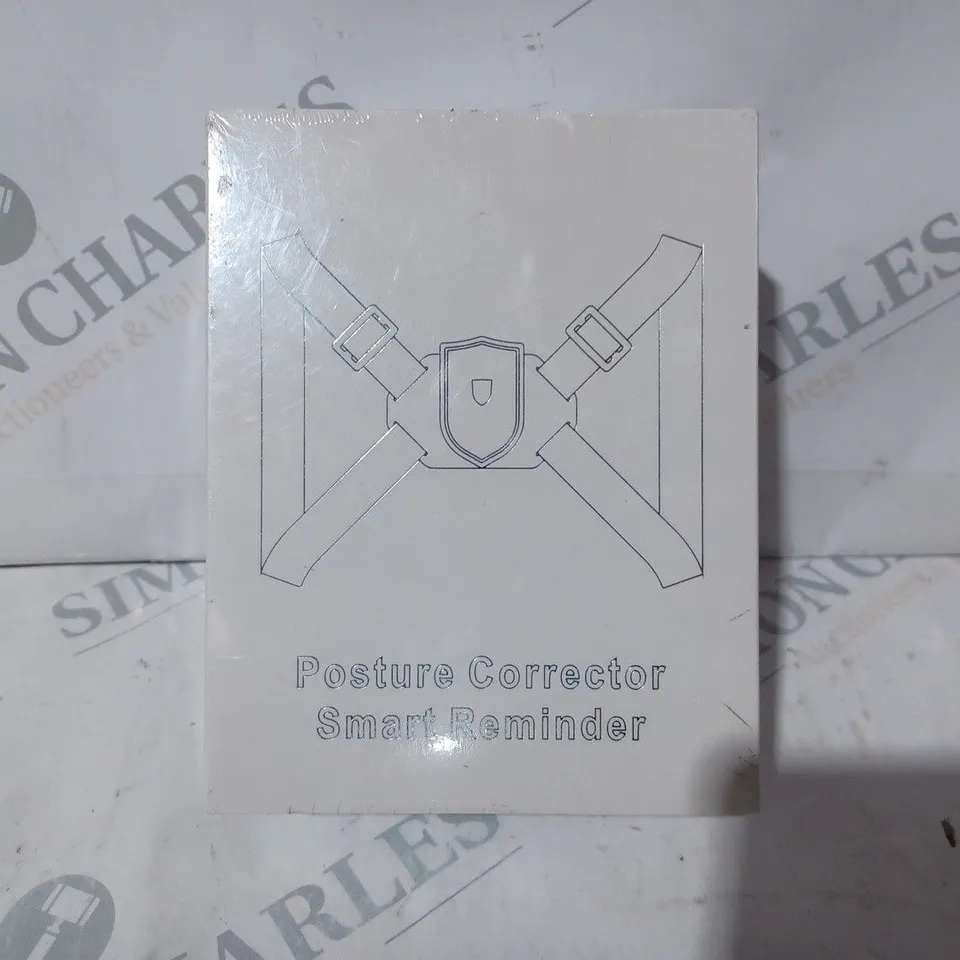 BOXED UNBRANDED POSTURE CORRECTOR