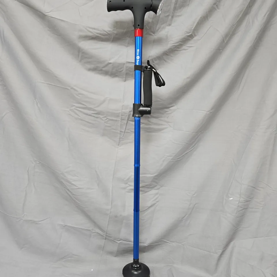 BOXED BLISS & BEYOND TWIN GRIP CANE – WALK WITH EASE